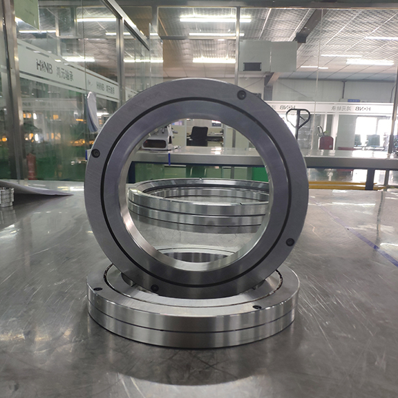 RB10016 поперечный роликовый подшипник