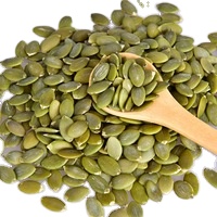 north west high quality shelled pumpkin seeds pumpkin seeds kernel