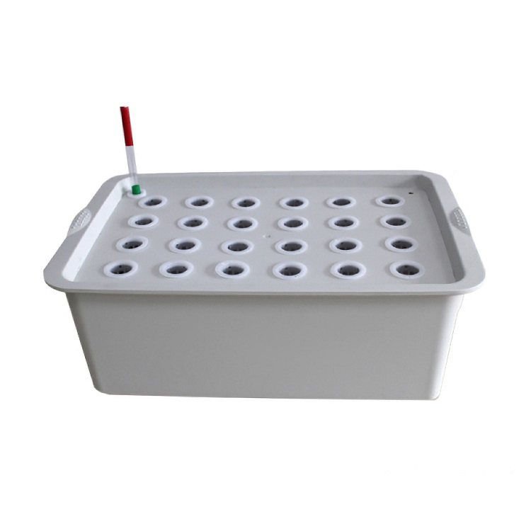 Small Hydroponic Systems Box 6/11/24 Holes Vegetable Soilless Cultivation Indoor Plant Seedling Growing Kit