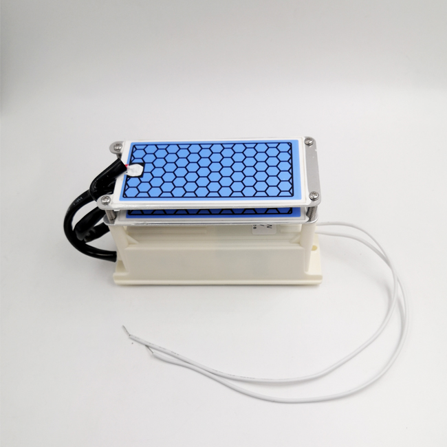 AC 110V 10g/H Ozone Generator Ceramic Ozone Plate for Air Purifying