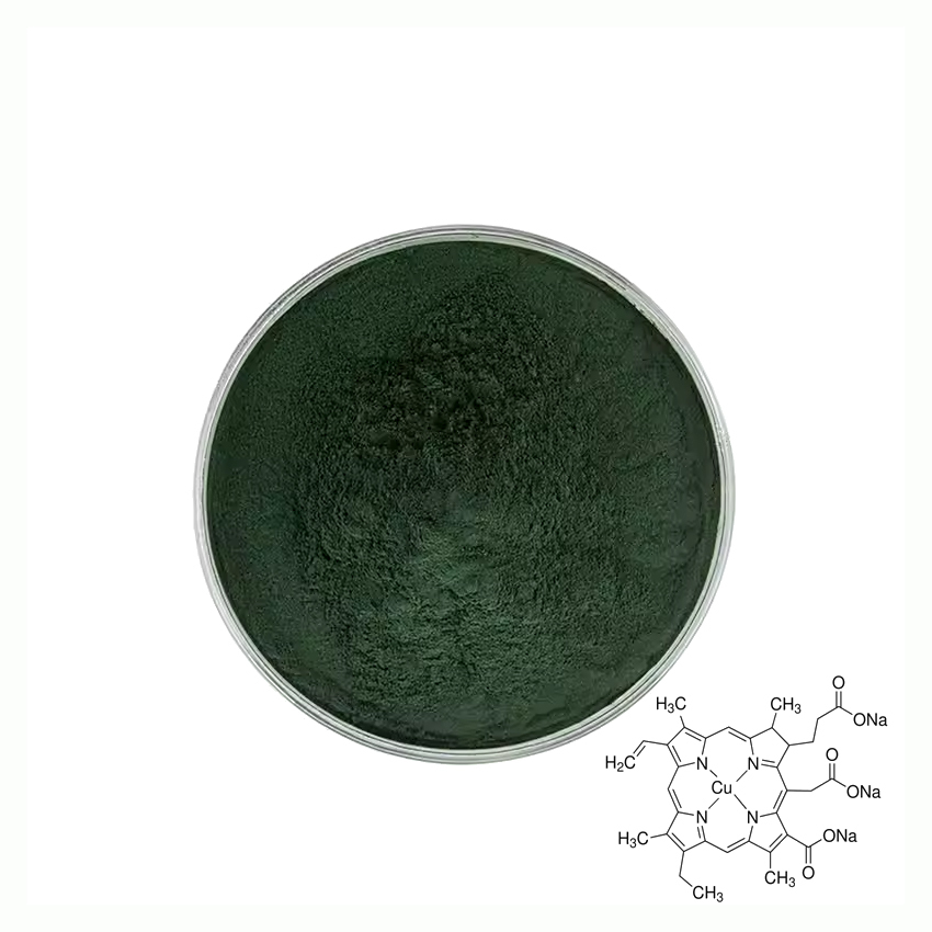 Hot Sale of High Quality Chlorophyll Plant Extract Sodium Copper Chlorophyll Powder
