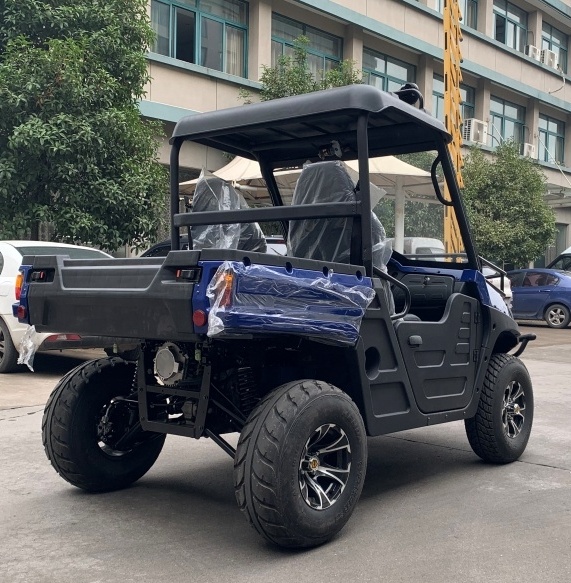 Высокое качество Новые продукты 5000 Вт электрическая ферма utv для горячей продажи