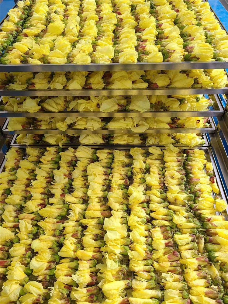 Сушилка промышленная для продуктов питания, аппарат для сушки лекарственных листьев, чеснока, лука, тыквы, трав, конопли, цветов, чая