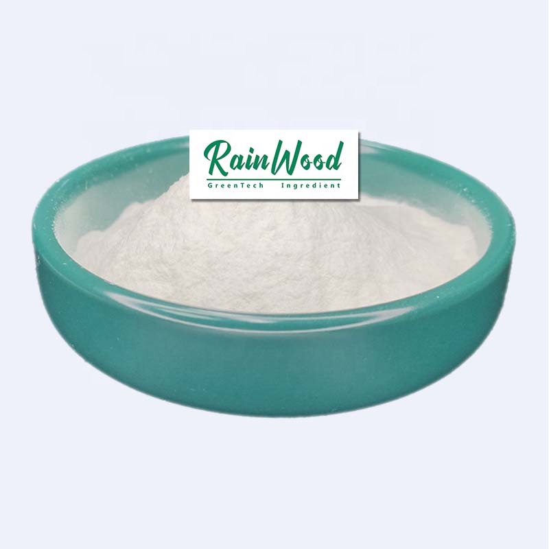 Rainwood Probiotic Food Supplement Lactococcus lactis hot sale organic Lactococcus lactis low price