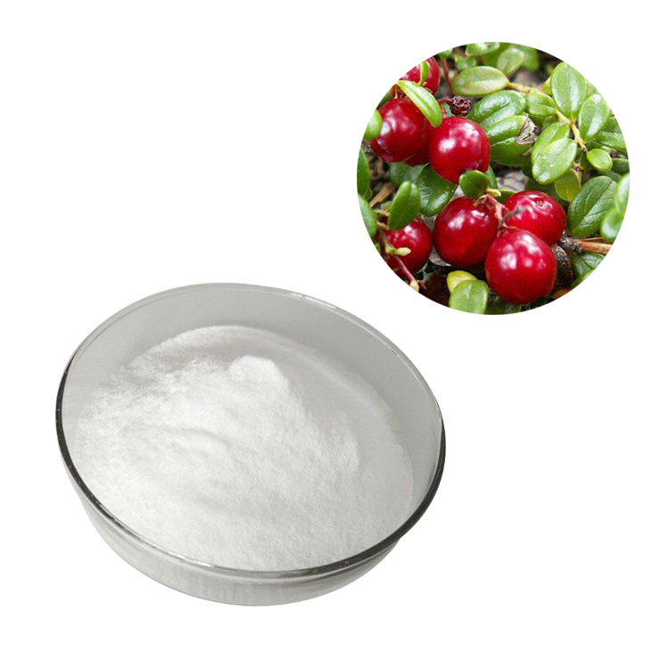 Фабрика питания высокое качество и хорошая цена Uva Ursi экстракт порошка, bearberry экстракт листьев
