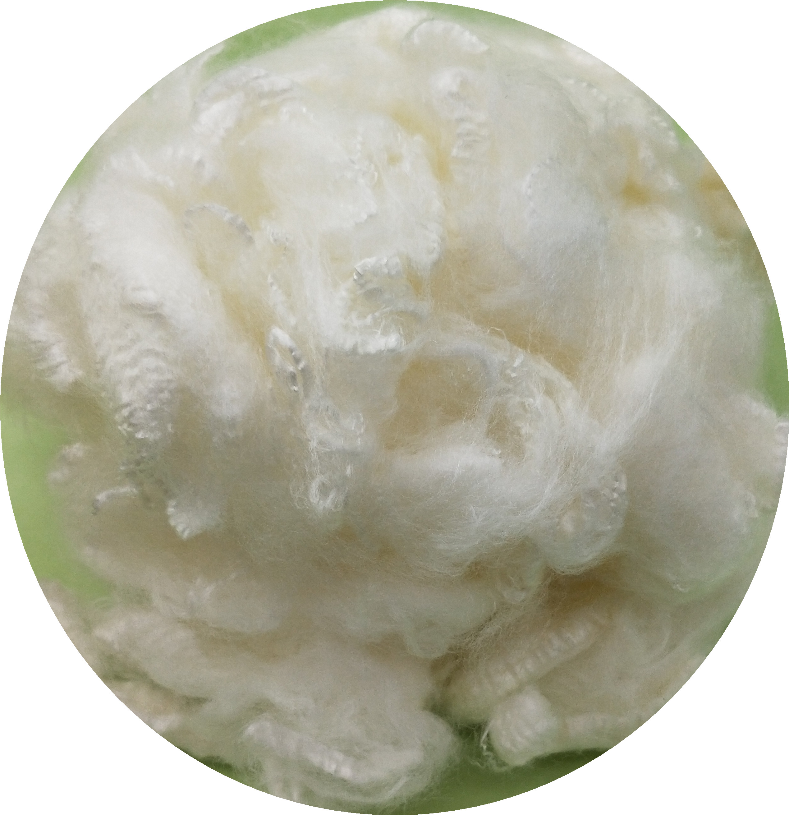 raw acrylic staple fiber