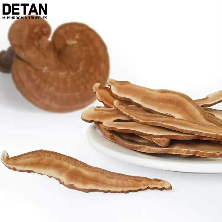 Сухой гриб Detan Reishi ломтиками