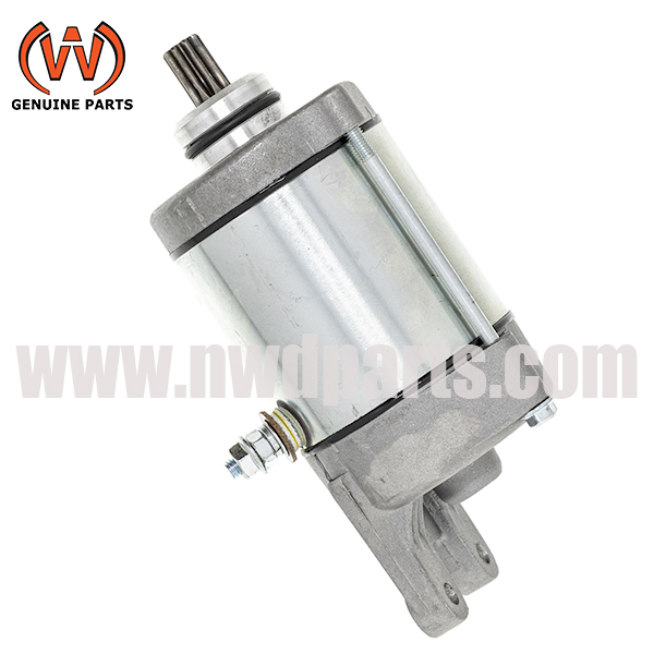 Стартер подходит для CAN-AM DS 250 OE 31210-LBA7-900 31210-LBA7-90B 1781120 3304-274 S31200-RB1-000 2110-0216 61-603 18911 1959