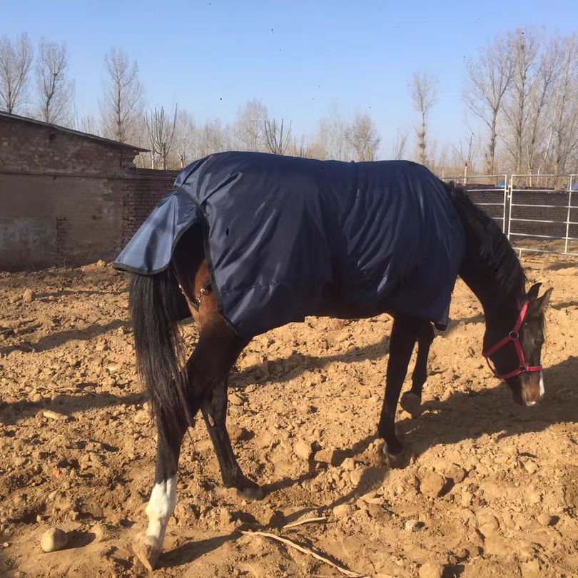 Оборудование для лошадей, продукция Equine, водонепроницаемые коврики для конного спорта, дышащий комбинированный устойчивый ковер для лошадей