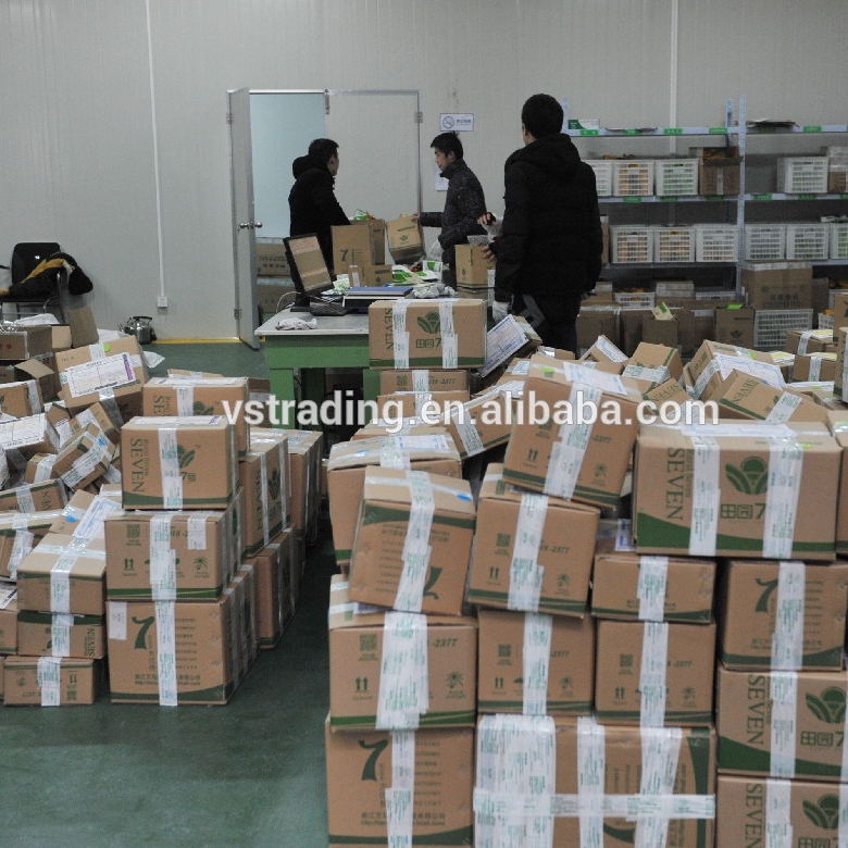 Door to door road cargo transport service from Shenzhen to Mongolia