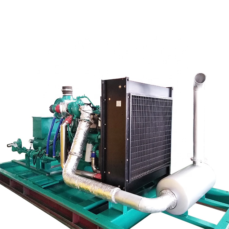 LSQ250G 1500 об/мин Резервная мощность 250 кВт Газовый Генератор