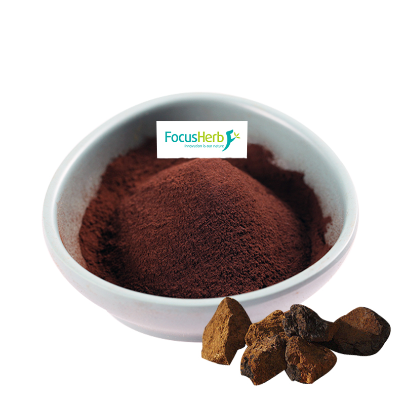 FocusHerb органический Chaga гриб экстракт 30% полисахарид