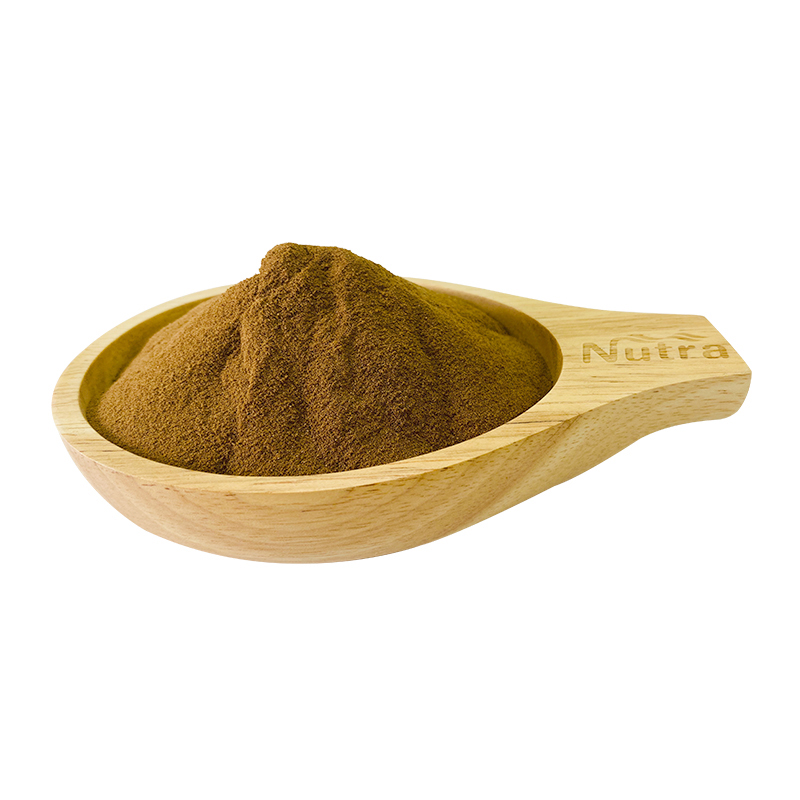 Wholesale supply wild mushroom fruiting body reishi extract Extract 4:1