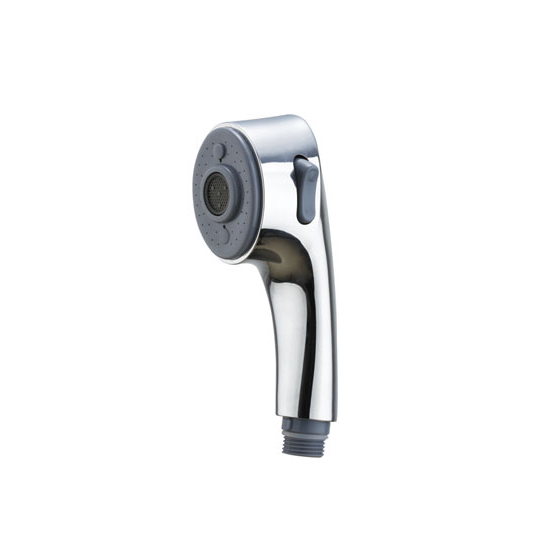 Kitchen shower head with switch