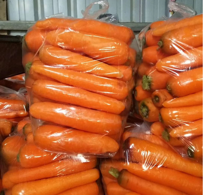 Farm Fresh CARROT from china