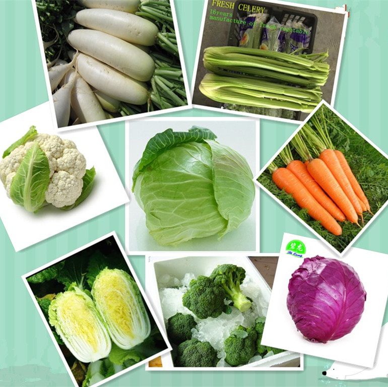 GAP new crop chinese fresh mixed vegetable cauliflower/ broccoli/ white radish/ celery / red cabbage /carrot supplying all year