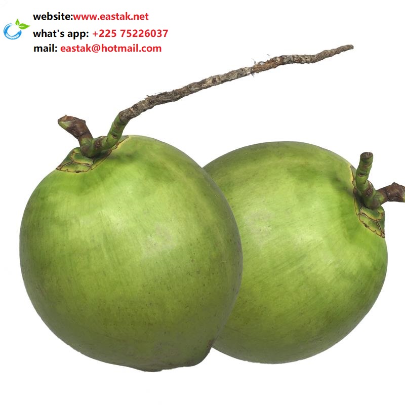 Low price green/fresh coconut from Africa(what's app:+22575226037)