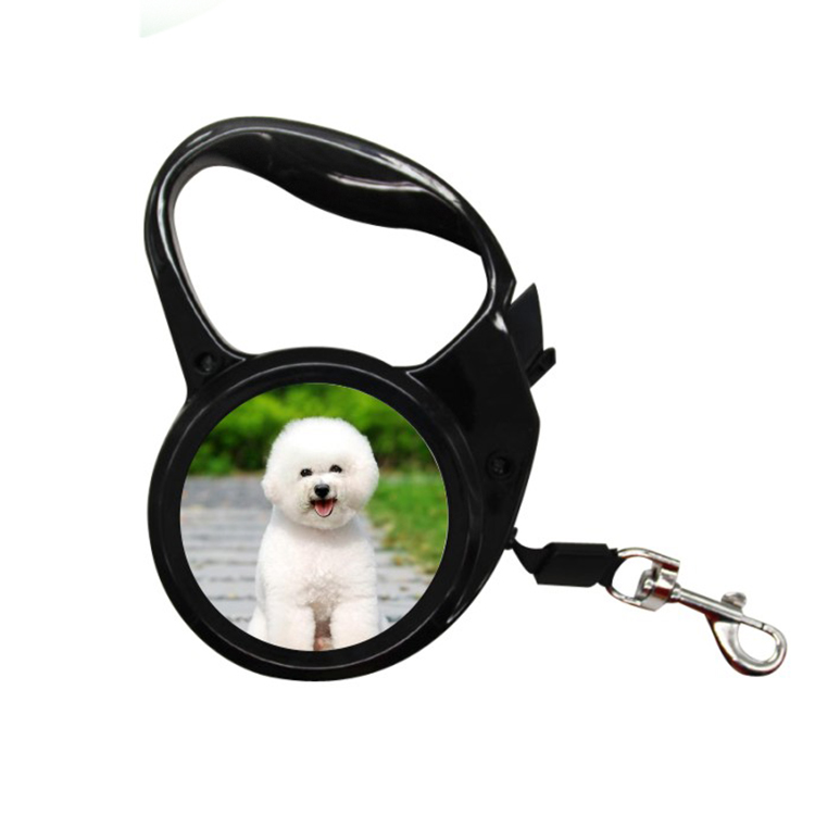 2021 Trending Products Safety Metal Buckle Adjustable Floral Pattern Custom Printed Nylon Dog Collar