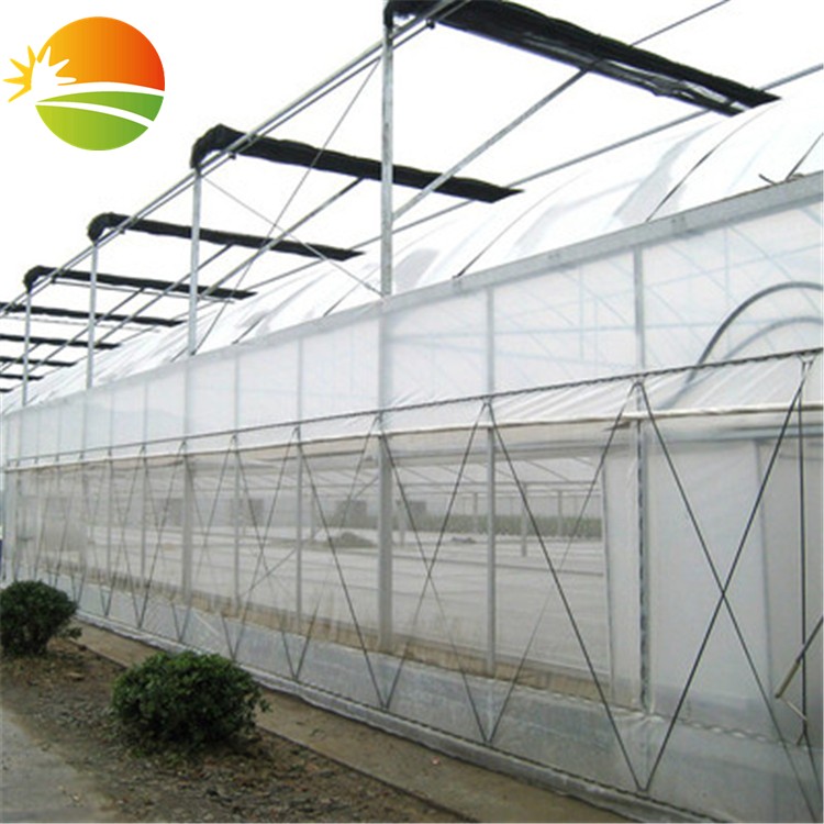 greenhouse usage insect net
