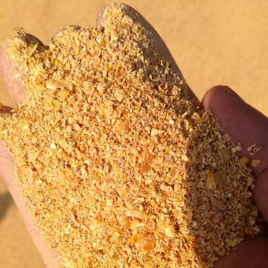China Corn Germ Meal Cake Price Animal Feed