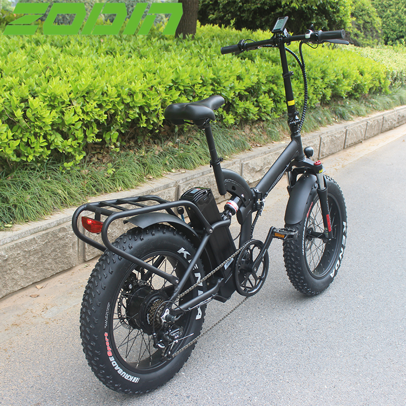 20 дюймов литиевая батарея 2019 новая леди или мужчины e-bike