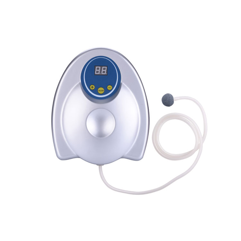 Multi-function 400mg CE Mini Ozonizador Ozono Generator Vegetable Fruit Food Ozonizer Water Purifier for Home
