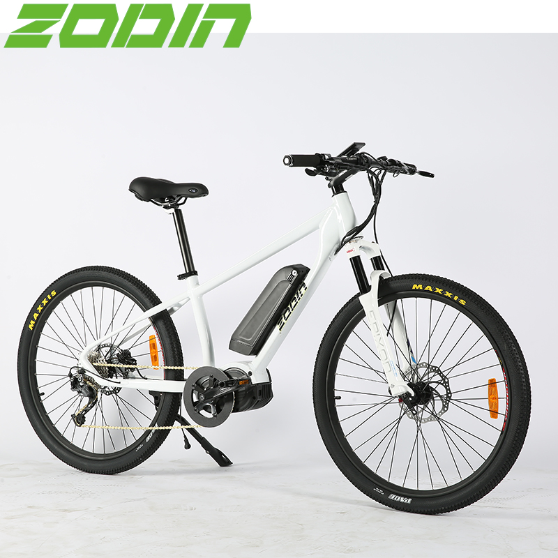 2018 Новый бесщеточный мотор 1000 Вт 48 В V дюймов 26 inch Ba Fang Mid-Drive E-Bike