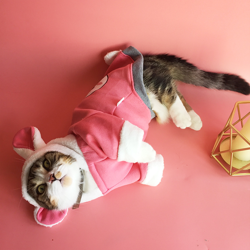 Лидер продаж заводская цена cat Одежда Настроить печати одежда для кошки