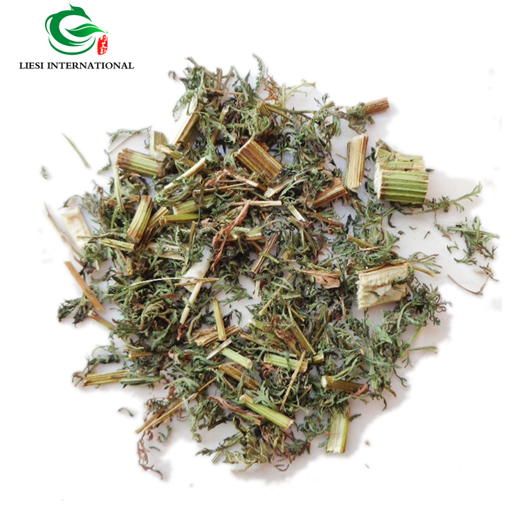Надежный китайский поставщик artemisia annua