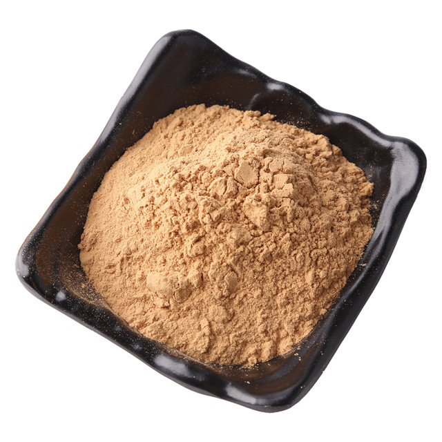 Органические сушеные Hericium Erinaceus порошок Львиная Грива экстракт гриба