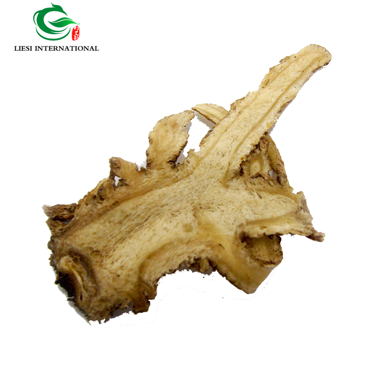 Поставка Китай Анжелика sinensis dong quai натуральные травы