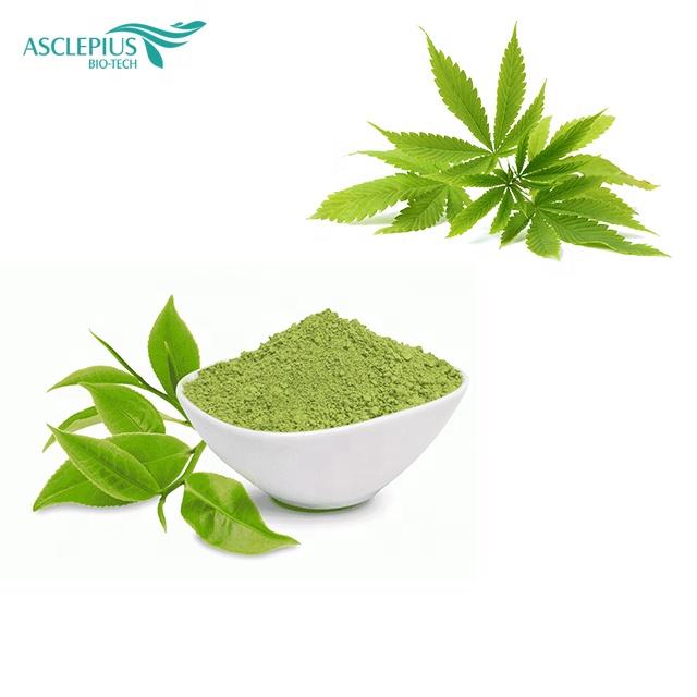 Порошок зеленого чая CBD маття