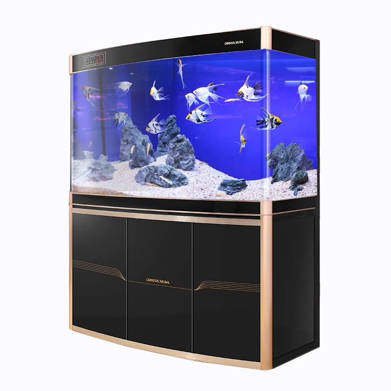 Minjiang оптовая продажа большой высококачественный изогнутый аквариум arowana tank