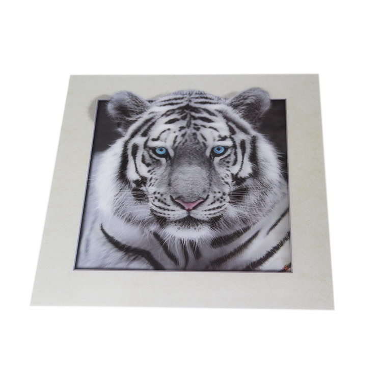 Pvc Hologram 3D Fish Pictures For Adults