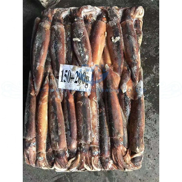 Замороженные морепродукты, Джиггер иллекс кальмар