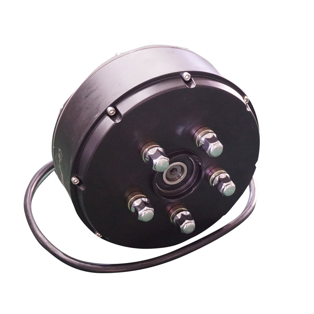 Одновальный двигатель QS 1000W 205 40H V2 E-car