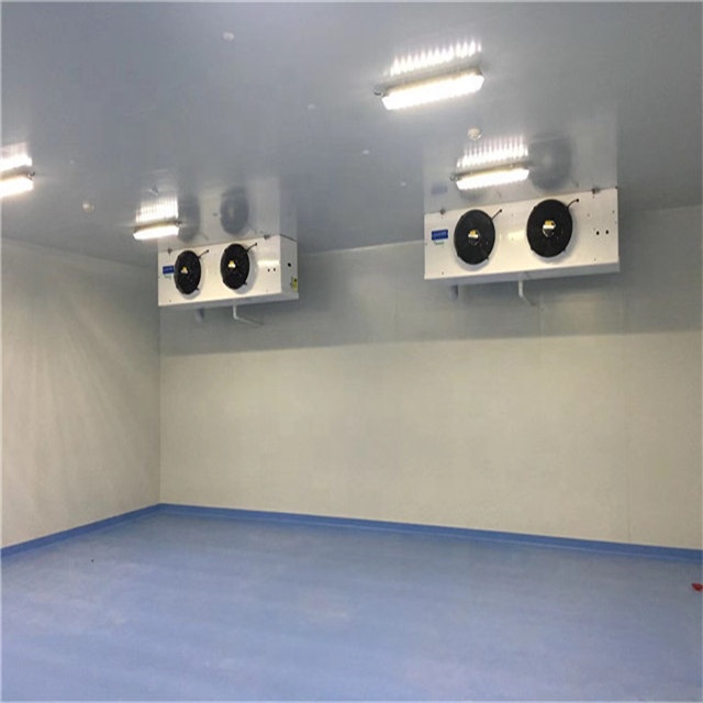 frozen cold storage room for meat and fish freezer