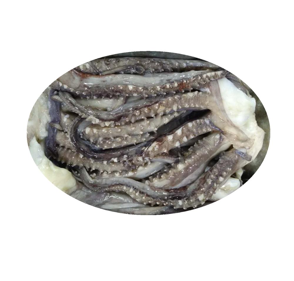 Гигантский кальмар, замороженный кальмар, наконечники