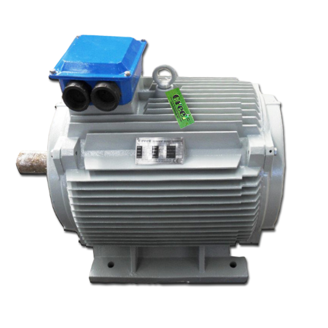 100KW низкая rpm 220 V трехфазный генератор постоянного магнита генератор