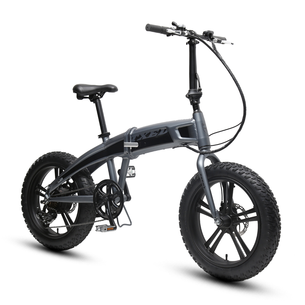 48 В низкая цена складной EBike складной fat ebike