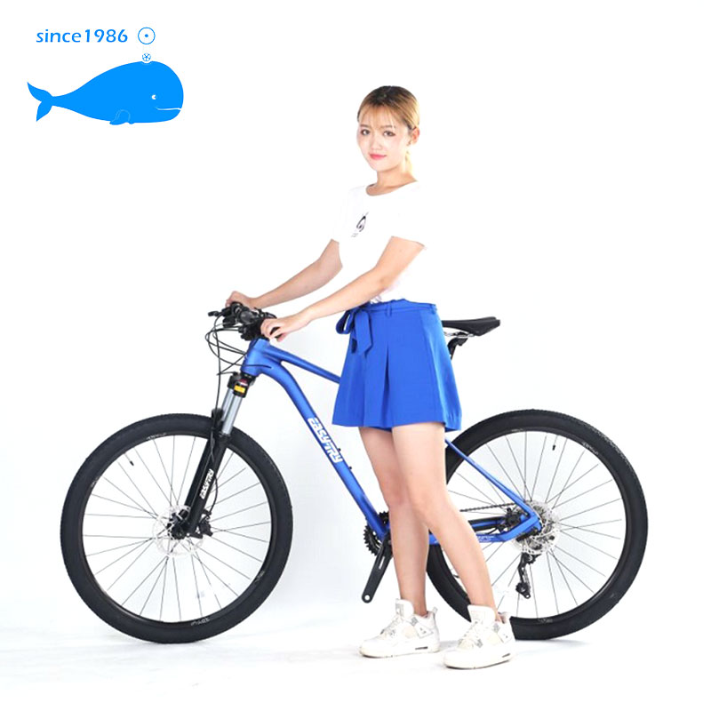 Самый дешевый Derailleur Cycles дорожный велосипед горный велосипед