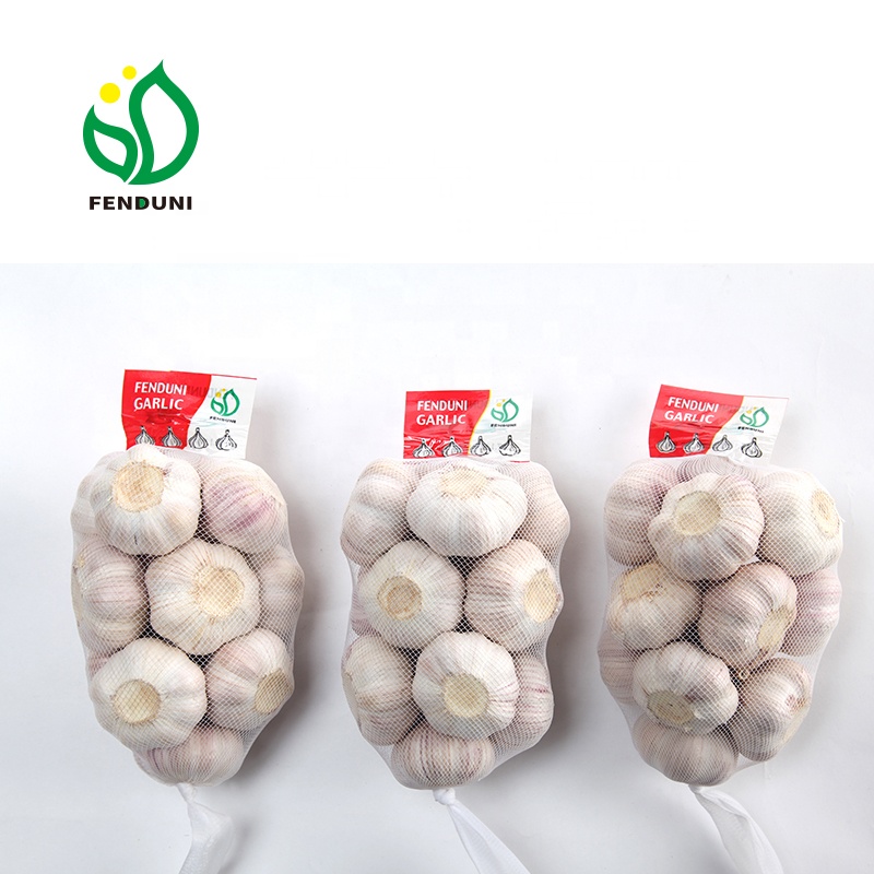 Поставка чеснока Fenduni JINING FENDUNI FOODSTUFF CO.,LTD
