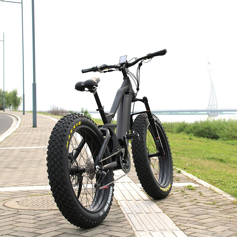 Новейший горный электрический велосипед Bafang 8fun 1000w ebike
