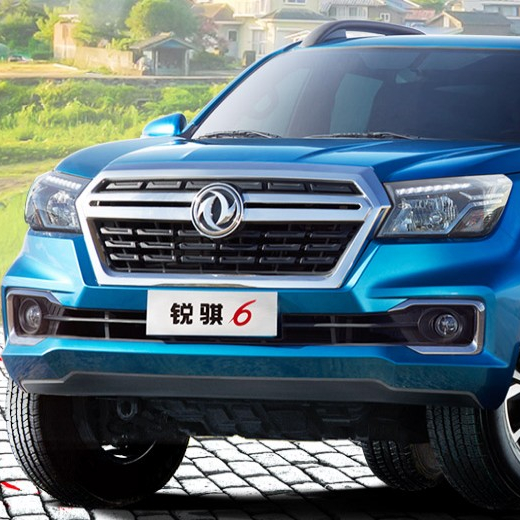 Dongfeng RICH 6 gasoline engine 2.4L top sale 2WD pickup high quality China made for export