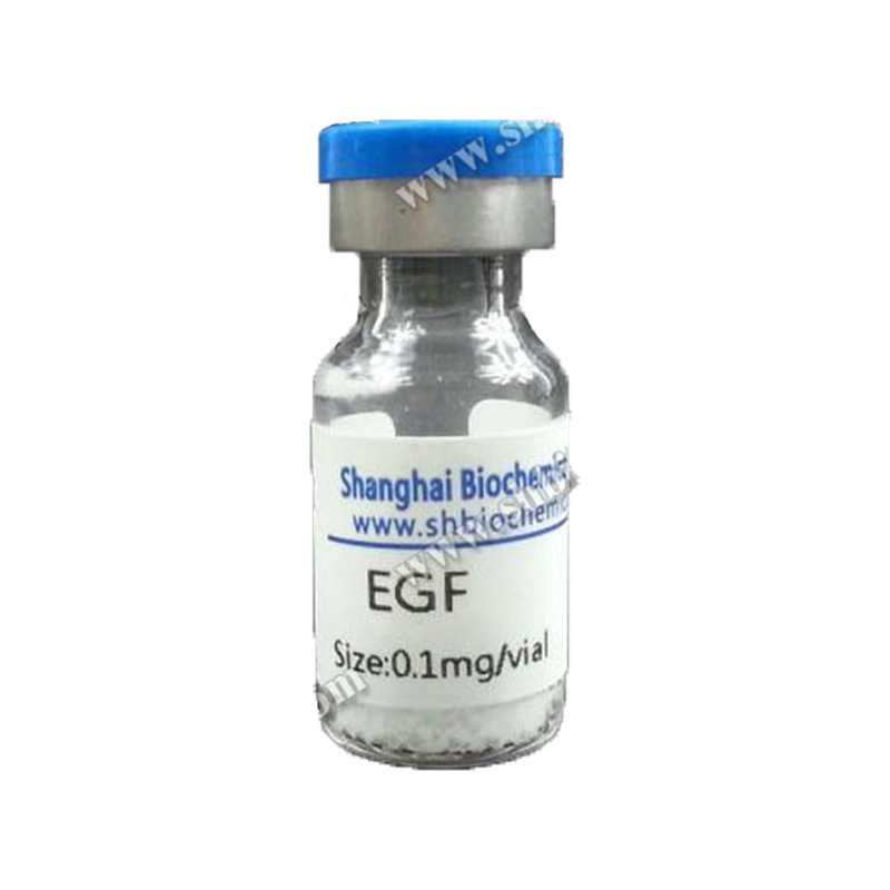 Белок bFGF, человеческий, рекомбинантный (родной) ;FGF2 95% + 5 г в наличии
