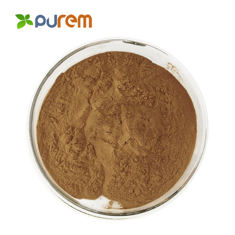Green Tea Extract 20%-90% Polyphenols HPLC Powder