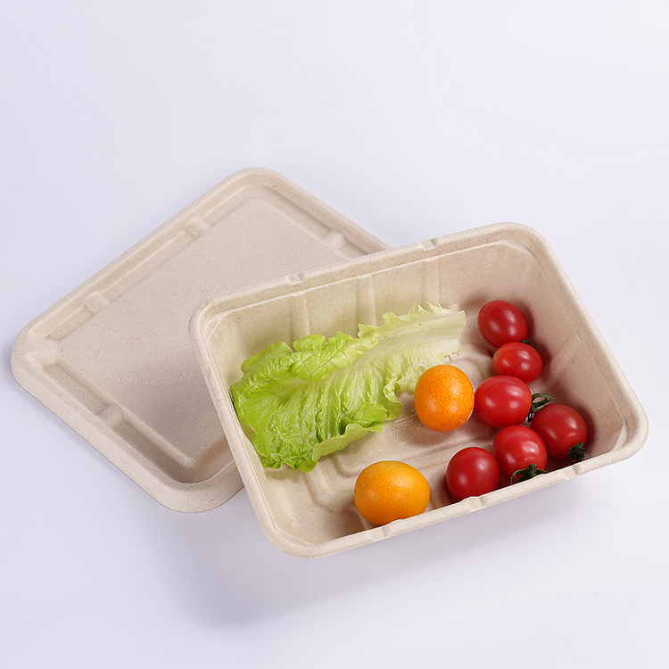 Sugarcane Bagasse раскладушка на вынос контейнер для еды с крышкой bagasse