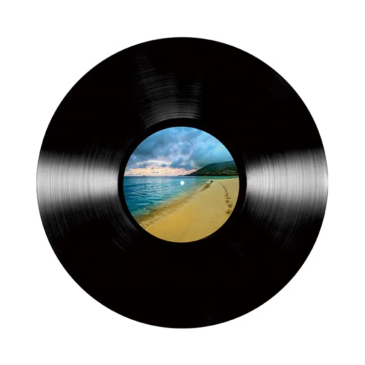 Hight Quality Custom Black Vinyl Record