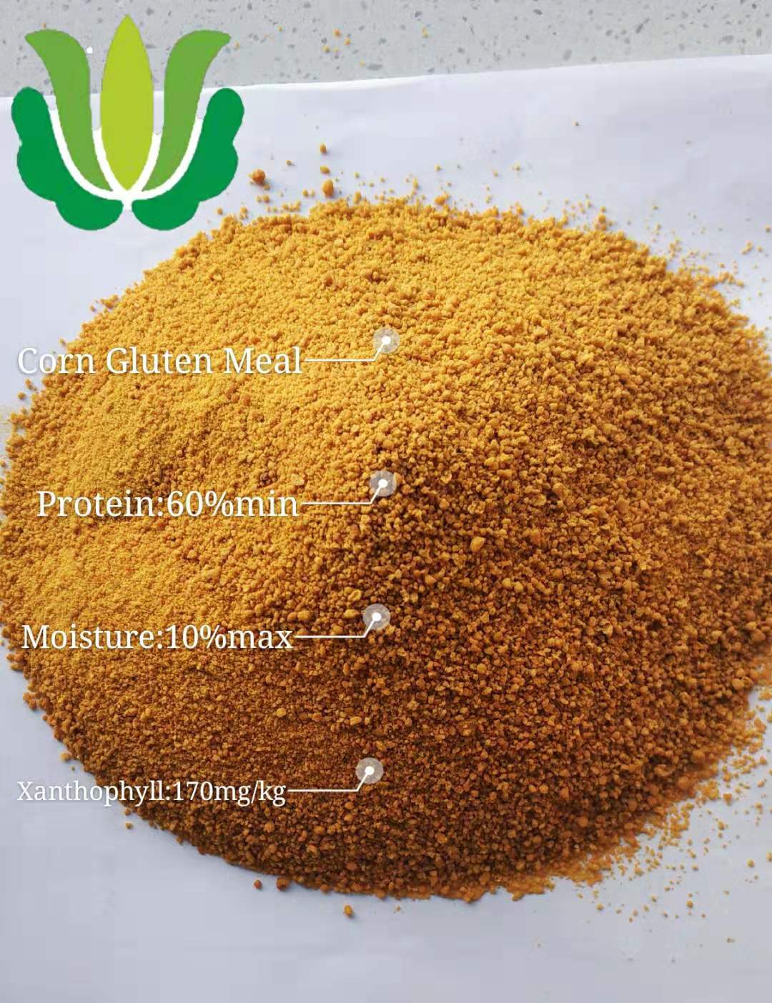 Мясо птицы кукурузы клейковины мука 60% используется для добавки корма для животных