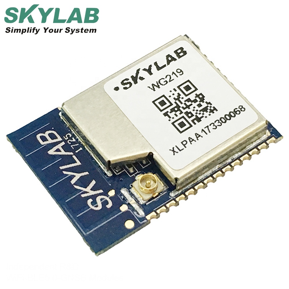 SKYLAB Топ продажа веб-камера микро Wifi беспроводной 8266 Esp8266-12F Esp-07 беспроводной модуль